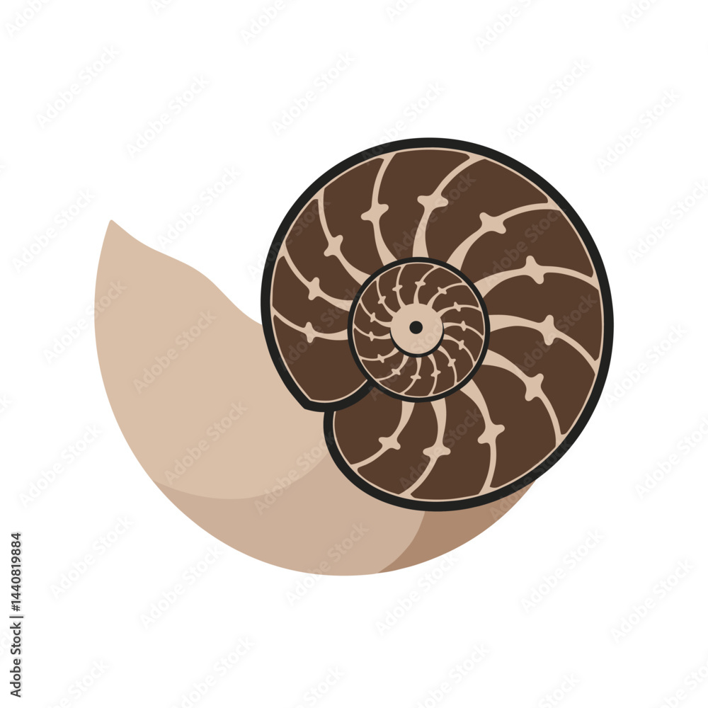 Nautilus Shell Design: A stylized nautilus shell, showcasing its intricate spiral pattern and natural elegance, rests on a sandy beach. Nautilus Shell Design: A stylized nautilus shell, showcasing its intricate spiral pattern and natural elegance, rests on a sandy beach.