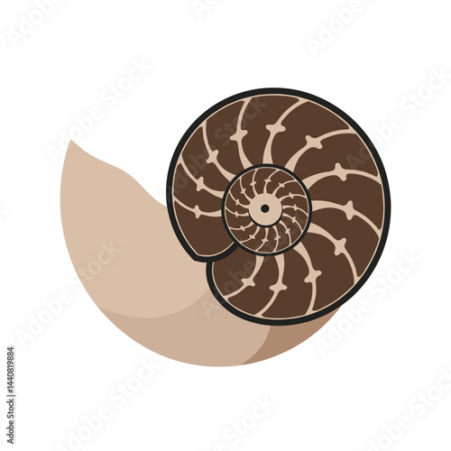 Nautilus Shell Design:  A stylized nautilus shell, showcasing its intricate spiral pattern and natural elegance, rests on a sandy beach.