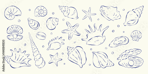Collection of isolated hand drawn outline seashells, starfishes and bubbles in flat style on white backdrop. Mediterranean coastal aesthetics. Design elements for card, poster, background, logo.