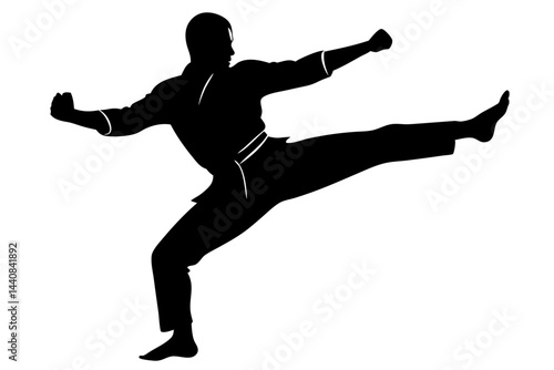 Martial artist silhouette with transparency of someone practicing selfdefense and physical fitness, martial arts, silhouette, transparency, selfdefense, fighter, combat, sport, training, exercise