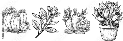 A stylized black outline of a cactus highlighting its distinctive spiky formation, ideal for designs centered around nature