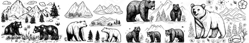 A compilation of bear drawings highlighting various postures and artistic approaches, ideal for designs or projects centered around nature or wildlife