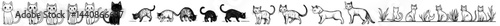 A minimalist design featuring the silhouette illustration of four different cat poses that highlight playful and relaxed feline behavior