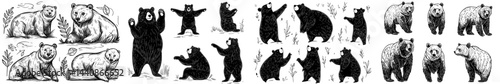 A compilation of bear outlines displaying diverse postures and species, perfect for use in wildlife artwork or educational resources