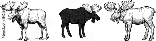 The silhouette of a moose in its natural habitat is ideal for use in wildlife design and illustration projects