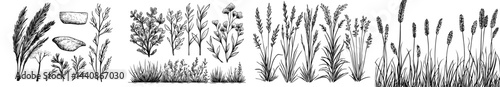 A compilation of plant and flower outlines, ideal for use in botanical artwork and imaginative endeavors