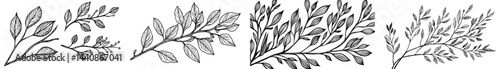 A compilation of dark outline drawings of diverse leaves and branches, ideal for botanical designs and environmentally conscious themes