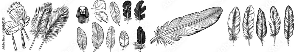 Obraz premium A assortment of diverse black silhouette feathers is displayed, highlighting distinctive shapes and patterns ideal for artistic and decorative uses