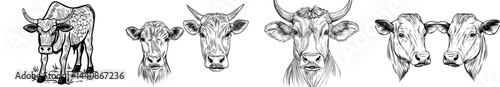 A compilation of dark cow shapes, highlighting diverse stances and viewpoints, suitable for farm or agricultural subjects