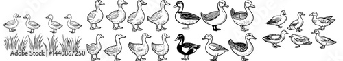 A compilation of black silhouette duck illustrations displaying diverse poses and styles, perfect for graphic design and nature themes