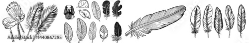A assortment of diverse black silhouette feathers is displayed, highlighting distinctive shapes and patterns ideal for artistic and decorative uses