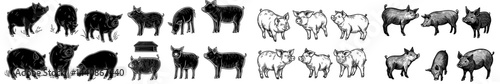 A set of black silhouette images of pigs in different poses, ideal for farm-themed designs or educational uses