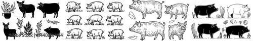 A set of black silhouette images of pigs in different poses, perfect for farm-themed designs and graphics