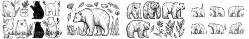 A compilation of bear artwork encompasses multiple styles, such as silhouettes, outlines, and cartoon designs, ideal for creative endeavors
