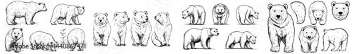 A compilation of bear outlines highlighting diverse species in assorted stances for utilization in graphic design or illustration