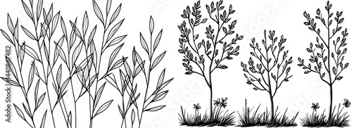 A compilation of refined botanical outlines showcasing an assortment of leaves and branches ideal for decoration