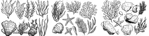 A compilation of dark shapes showcasing an assortment of oceanic features such as coral, seaweed, fish, and starfish, perfect for underwater-inspired designs