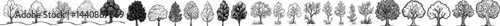 A detailed silhouette of various tree species is presented, highlighting their distinctive shapes and forms against a white background