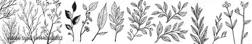 A compilation of dark outline drawings of diverse leaves and botanical components suitable for design undertakings