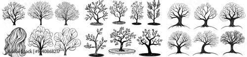 A compilation of nine tree silhouettes displaying diverse forms and dimensions, perfect for designs and illustrations centered on nature