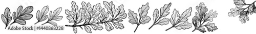 A stylized leafy plant silhouette, ideal for incorporation into botanical designs, nature-inspired artwork, or culinary settings