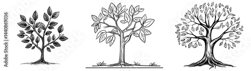 A precise black shape of a tree with elaborate leaves and roots, well-suited for nature-inspired designs and drawings
