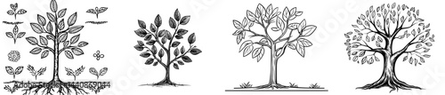 A stylized black outline of a tree featuring complex branches and leaves, representing nature and growth