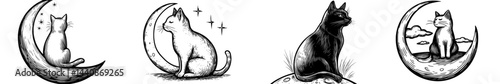 A cat is depicted sitting elegantly on a crescent moon, forming a sleek silhouette that evokes mystery and tranquility