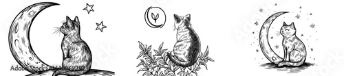 A fanciful outline of a feline perched on a lunar crescent is perfect for nighttime-inspired artwork and drawings