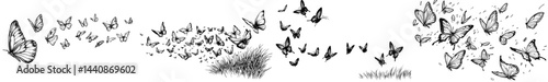 A compilation of silhouettes featuring black butterflies in diverse poses, ideal for designs and projects with a natural theme