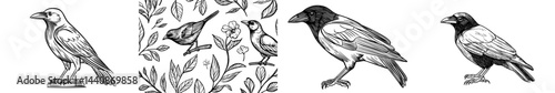 A raven's sleek silhouette displays its unique shape and characteristics, making it perfect for design and illustration