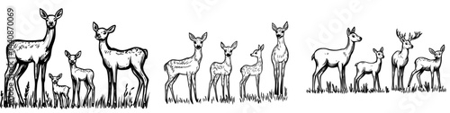 A compilation of deer outlines displaying diverse postures and antler arrangements, perfect for designs or artwork centered around wildlife or nature
