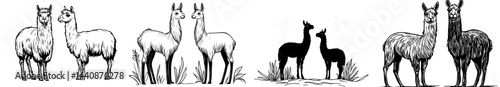 A pair of llamas is shown in silhouette, highlighting their unique characteristics in a modern black and white style