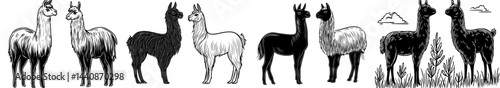 Two stylized llama silhouettes are positioned side by side, suitable for graphic design and projects centered around animals