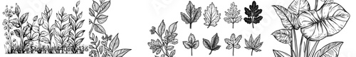A compilation of dark outline drawings of diverse flora and foliage, ideal for botanical artwork and nature-inspired undertakings