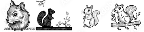 A charming black outline of a squirrel featuring a bushy tail, perfect for designs and illustrations centered around nature