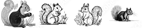 A stylized outline of a squirrel in a lively pose, perfect for designs or artwork centered around nature or wildlife