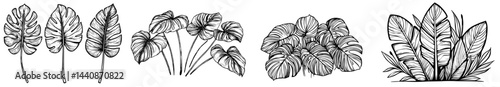 A compilation of diverse black tropical leaf silhouettes, ideal for decorative purposes, design projects, or illustrating botanical themes