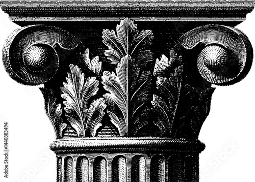 Detailed ionic column capital with decorative acanthus leaves.