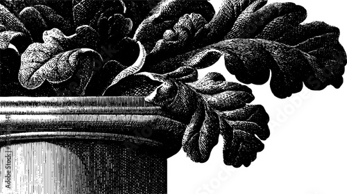 Vintage botanical engraving of decorative plant leaves in pot.