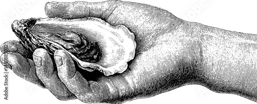 Detailed vintage illustration of hand holding an open oyster.