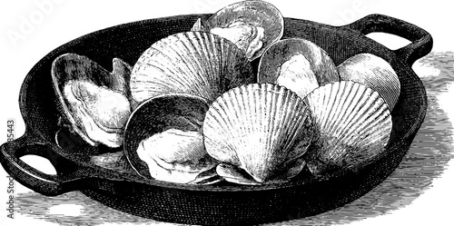 Vintage engraving of scallops in black iron pan.
