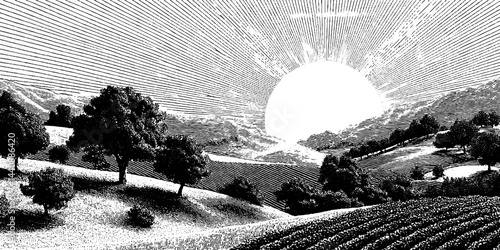 Dramatic black and white engraving of sunlit landscape with rolling hills and trees.