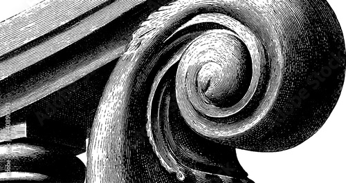 Detailed ionic column capital, classical architecture design, black and white engraving.