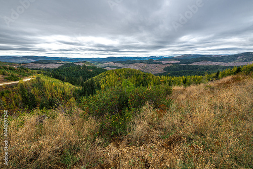 Obraz na płótnie Logging Activities in the Clearwater Mountains Region, ID w salonie