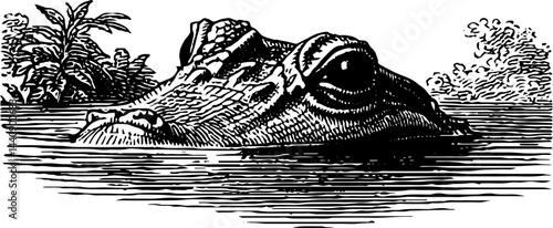 Engraved illustration of a deer with cocktails. Vintage mixology art featuring elegant line art of wildlife and botanical elements in classic black and white