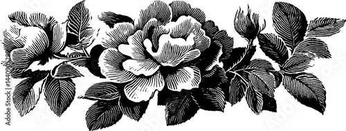 Vintage floral design in 1950s woodcut style for retro print decor