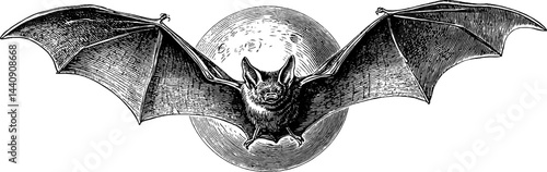 Engraved bat in flight across the moonlit sky - nighttime wildlife art design