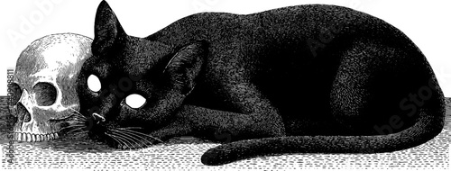Mysterious black cat with glowing eyes lying next to skull - halloween illustration for tattoo design