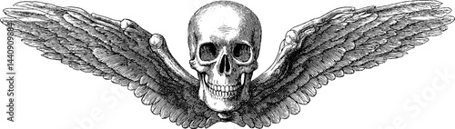 Gothic skeleton with wings engraved illustration design for dark art and vintage prints